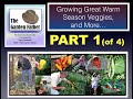 Garden Soil and Herb Benefits