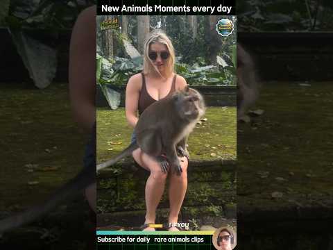 Watch These Animals Do the Unexpected!