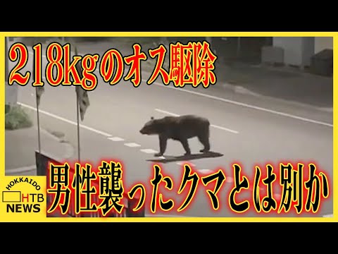 男性襲ったクマとは別か　道南・福島町ヒグマ１頭駆除　体長2ｍ８ｃｍ　体重２１８ｋｇのオス