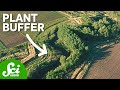 Riparian Buffers and Ecosystem Restoration