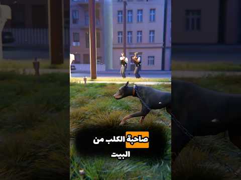 الشرطة ارتكبت مصيبة 👮🏻‍♀️🔥