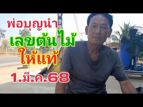 พ่อบุญนำเลขต้นไม้1.มี.ค.68