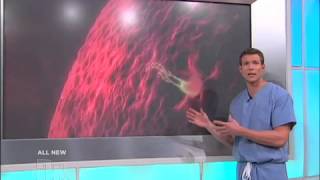 Karina Van Leuven on The Doctors TV SHOW