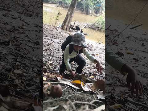 Berpetualang dan mukbang dihutan kalimantan#shorts #short #shortvideo