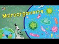 Microorganisms and Their Impact