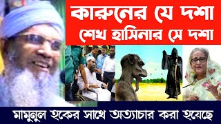 শেখ হাসিনা মামুনুল হকের সাথে অনেক রকম ষড়যন্ত্র করেছে | mamunul haque | sekh hasina | d.Younus