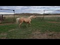 Video taken May 2020