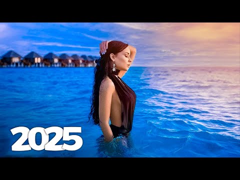 Alan Walker, Dua Lipa, Coldplay, Martin Garrix & Kygo, The Chainsmokers Style 🔥 Summer Vibes #148