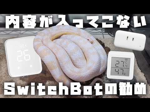 内容が入ってこないSwitchBotの勧め