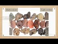 Earth's Surface and Ecosystem Concepts