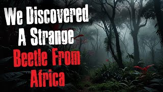We Discovered A Strange Beetle From Africa - Creepypasta