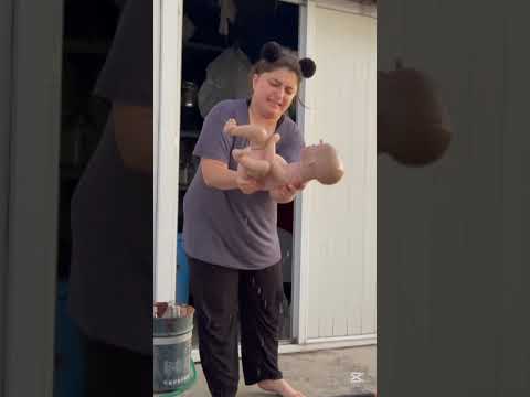 Hangi rengi seviyorsun