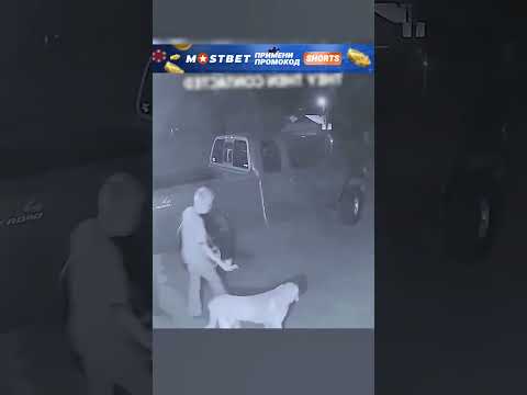 Ужасная хозяйка?