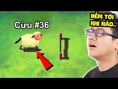 Muốn Đi Ngủ? Đếm Đủ 1 Triệu Con Cừu