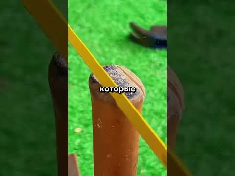 Истории