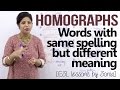 Understanding Homographs and Contextual Meanings