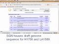 Tomato Genome Data and Varieties