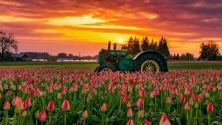 Relaxing music for meditation,  yoga , stress and sleep