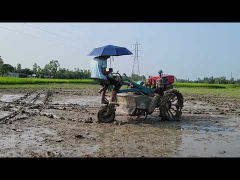 I have a lot of fun driving a power tiller machine with an umbrella on my head on a rainy day.