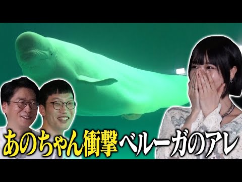 Ano-chan is Very Excited About Beluga, Having a Lot of Fun at the Aquarium With a Male Swing [Ano-chanell #23]