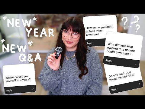 Do I wish I never owned Rats & my 5 year goal | Q&A