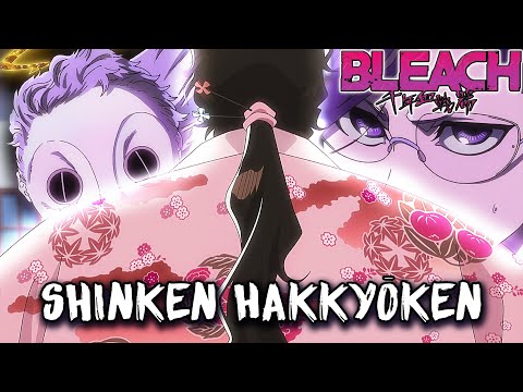 KYORAKU BANKAI ÉCHOUE MAIS L'ÉPÉE DU CLAN ISE TRIOMPHE VS LILLE BARRO ! BLEACH TYBW EP. 37 REVIEW