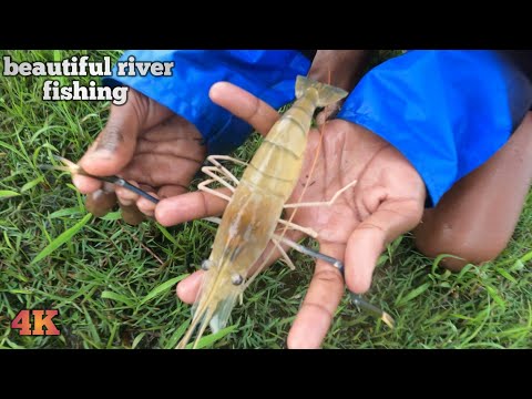 beautiful river fishing - catching fish by cast net fishing in beautiful river