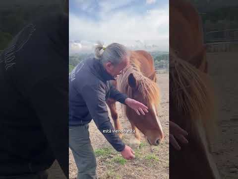 ¿Tu caballo te muerde?🐴✨ #vivirenmanada