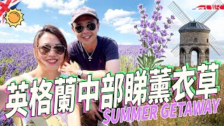 Vlog咪｜英國夏日輕鬆Chilled 英格蘭中部薰衣草園｜400年歷史風車｜倫敦都有農場 自助售賣機賣鴨蛋（唔係鹹蛋）｜UK Summer Getaway