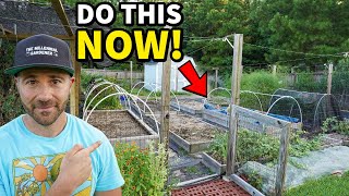 Do These 3 Things NOW To MEGA BOOST Your Garden!