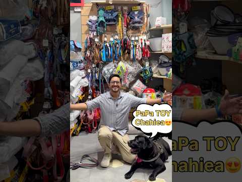 My Dog Loves Shopping #doglover #lucky