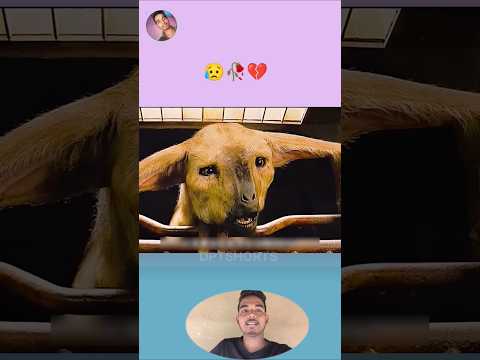 ऐसा जीव पहले कभी देखा है🥀💔😭 | MOTIVATIONAL VIDEO #shorts #trend