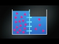 Osmosis and Diffusion Concepts