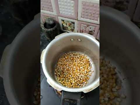 ஜஸ்வர்யா வின் புதிய தொழில் - Popcorn Maker😜😂 #Shorts | Vinoth Iswarya