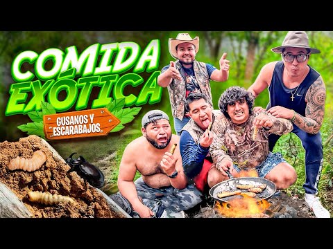 COMIDA EXÓTICA GUSANOS DE TRONCO CON EL CREW RETOJORJAIS