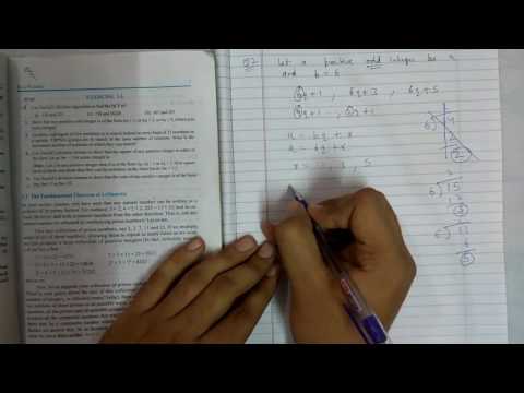Chapter 1 real numbers maths class 10 exercise 1.1 || NCERT|| Math Tutor