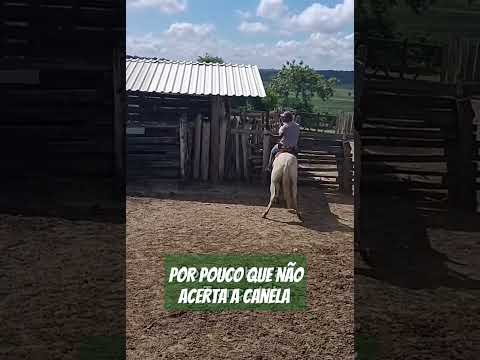 #temcomofazerocertosim