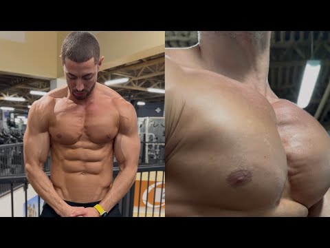 Chest Workout Highlights!