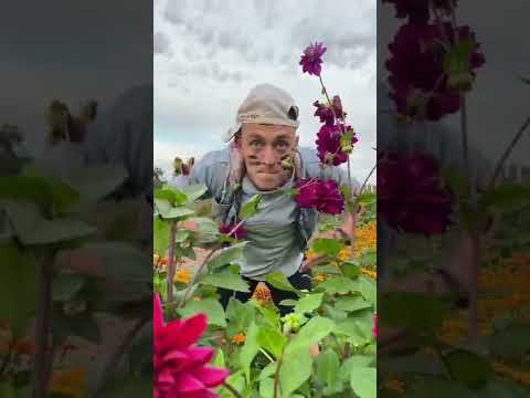 Забыли ребёнка дома. #shorts
