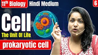 Class 11 Biology | Cell: The Unit of Life (कोशिका) | Prokaryotic cell | NEET + Boards