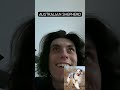 Understanding the Video Transcript