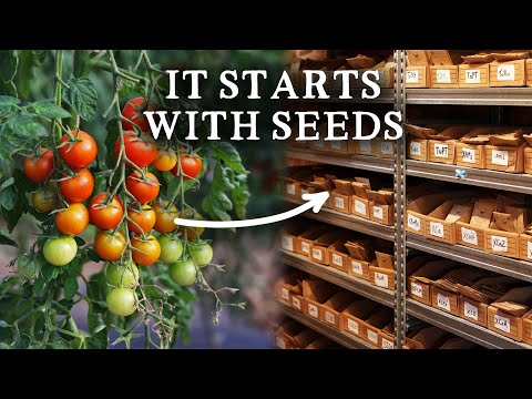 The Vital Seed Company Offering Amazing Varieties for Organic Gardeners