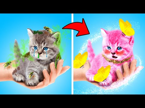 Menyelamatkan Kucing Liar! Cara Merawat Anabul - Gadget Kucing Pintar oleh Game ala Dunia La La