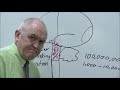 Brain Function and Consciousness Concepts