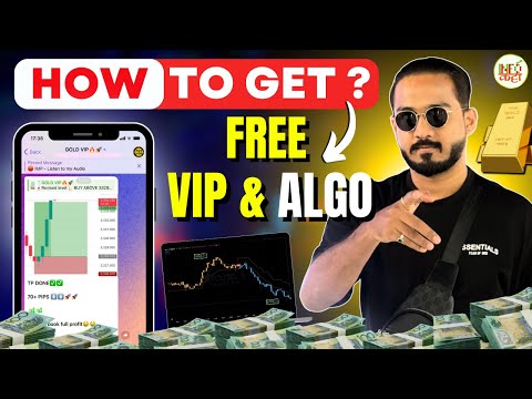 How to Get Free VIP Group & Algo Access ? 🔥| INFO KATTA |🤑