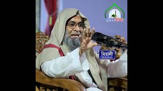তাওবাহ করার পর আবার গুনাহ করে ফেললে কি করা মুফতি হামিদ জহিরী