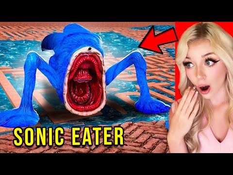 If You See Sonic Eater in a Maze... RUN AWAY FAST!!