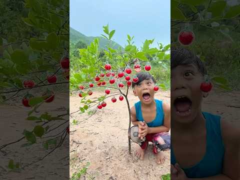 The guy shows SURVIVAL skills #survival #bushcraft #outdoors #lifehack #camping