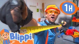 Let's Learn about Construction Tools | BEST OF BLIPPI TOYS | Educational Videos for Kids