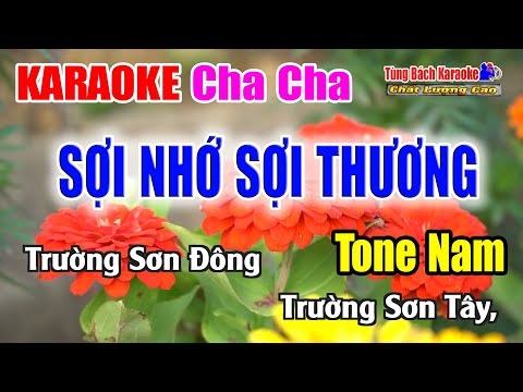 SỢI NHỚ SỢI THƯƠNG || Karaoke Beat Cha Cha ( Tone Nam ) Nhạc Sống Tùng Bách